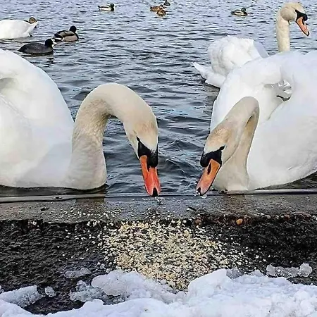 Stylish 2-bed In The Heart Of Yorkshire Ferienhaus